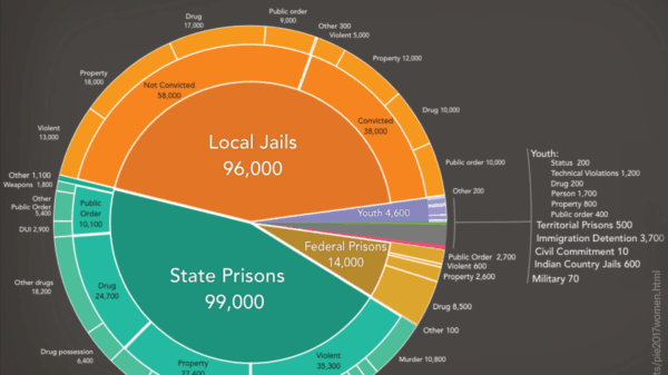 pie chart of incarceration rates for women