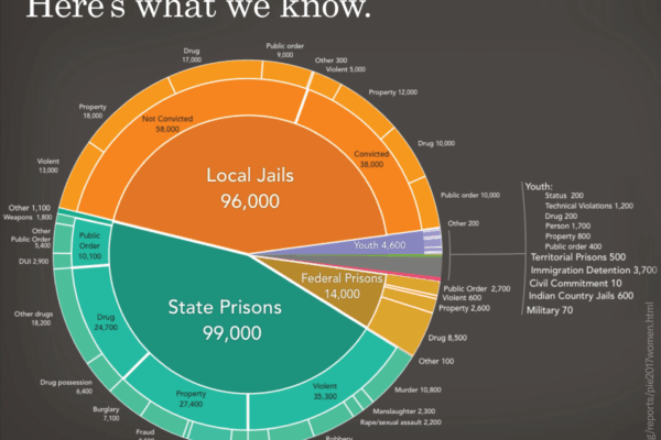 pie chart of incarceration rates for women