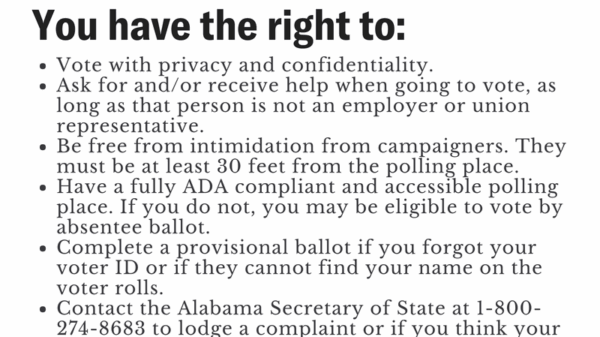 while you are voting graphic