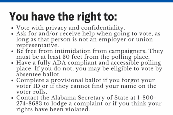 while you are voting graphic