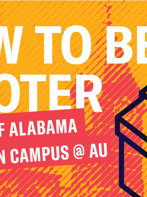 how to be a voter graphic