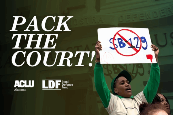 Pack The Court Landscape