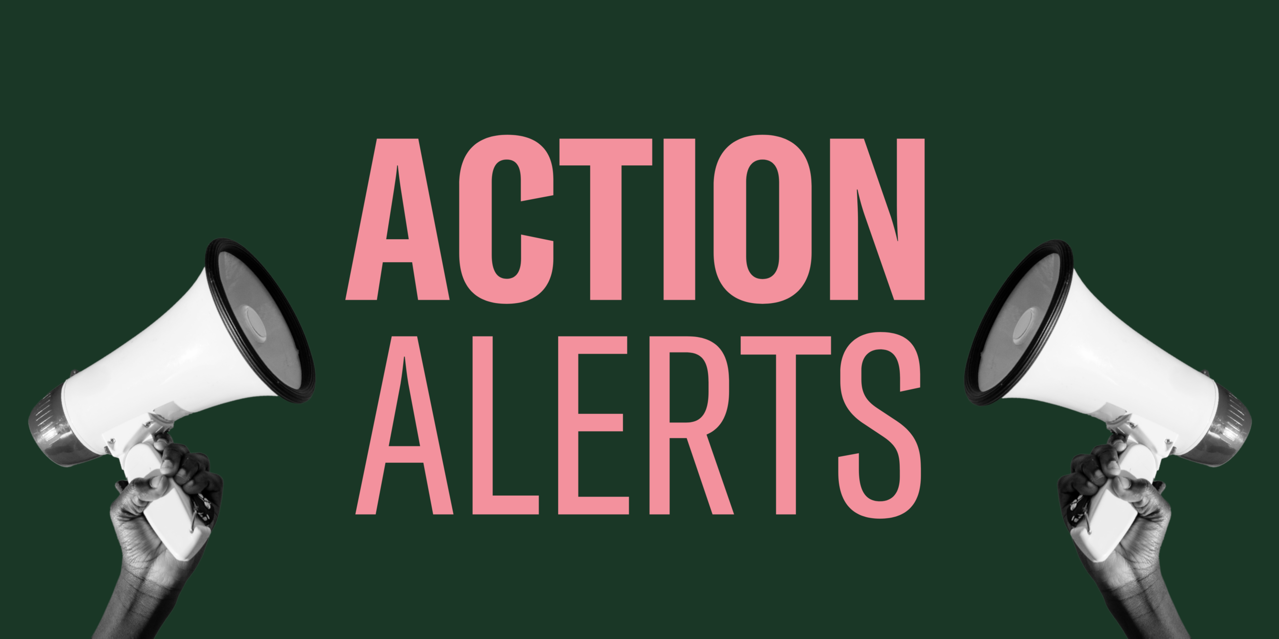 action alerts