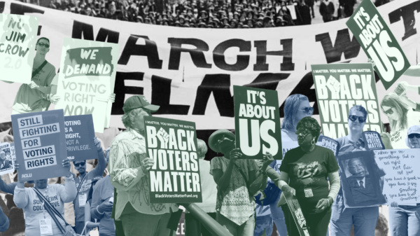 collage of demonstrators with signs