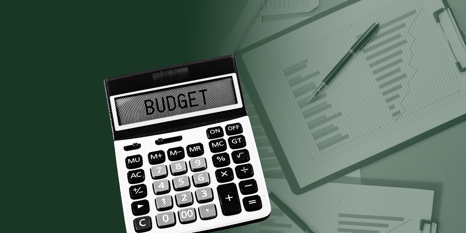budget grant