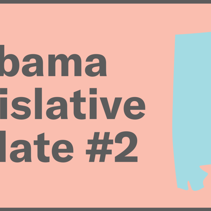 Alabama Legislative Update #2