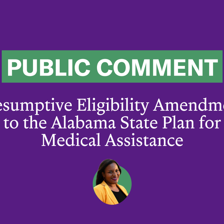 public comment