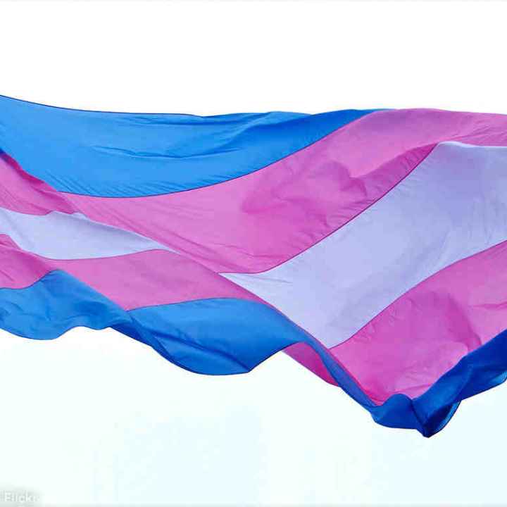 transgender flag