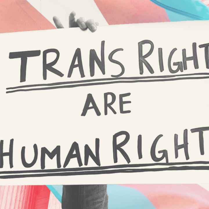 Trans Belong